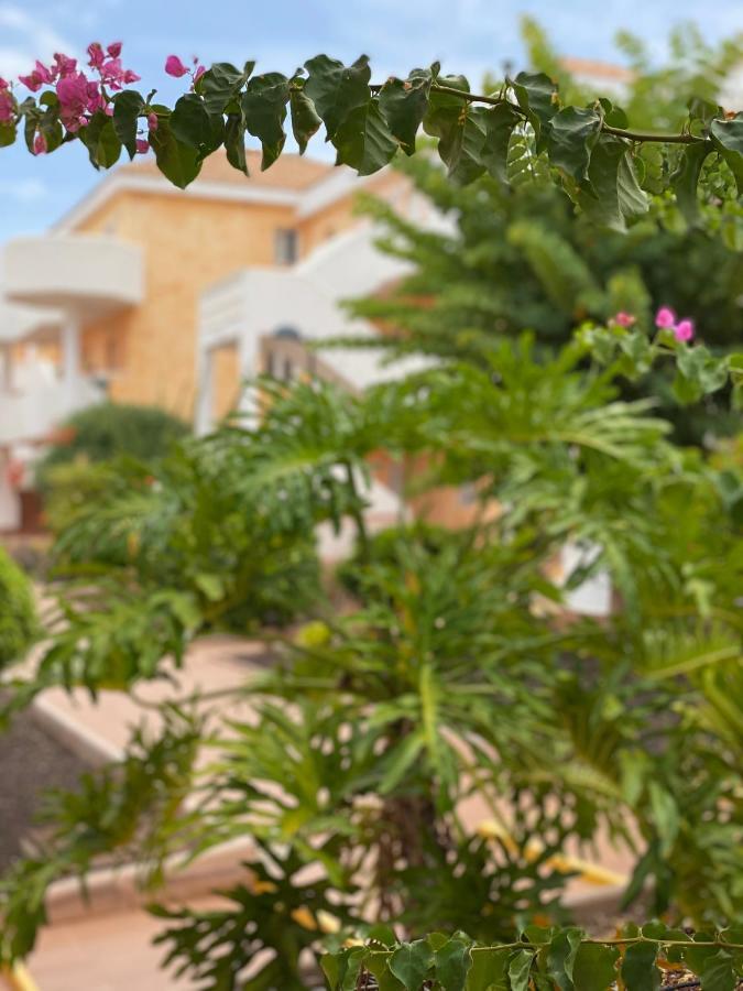 Golden Suite Ocean View & Pool Лос Кристианос Экстерьер фото